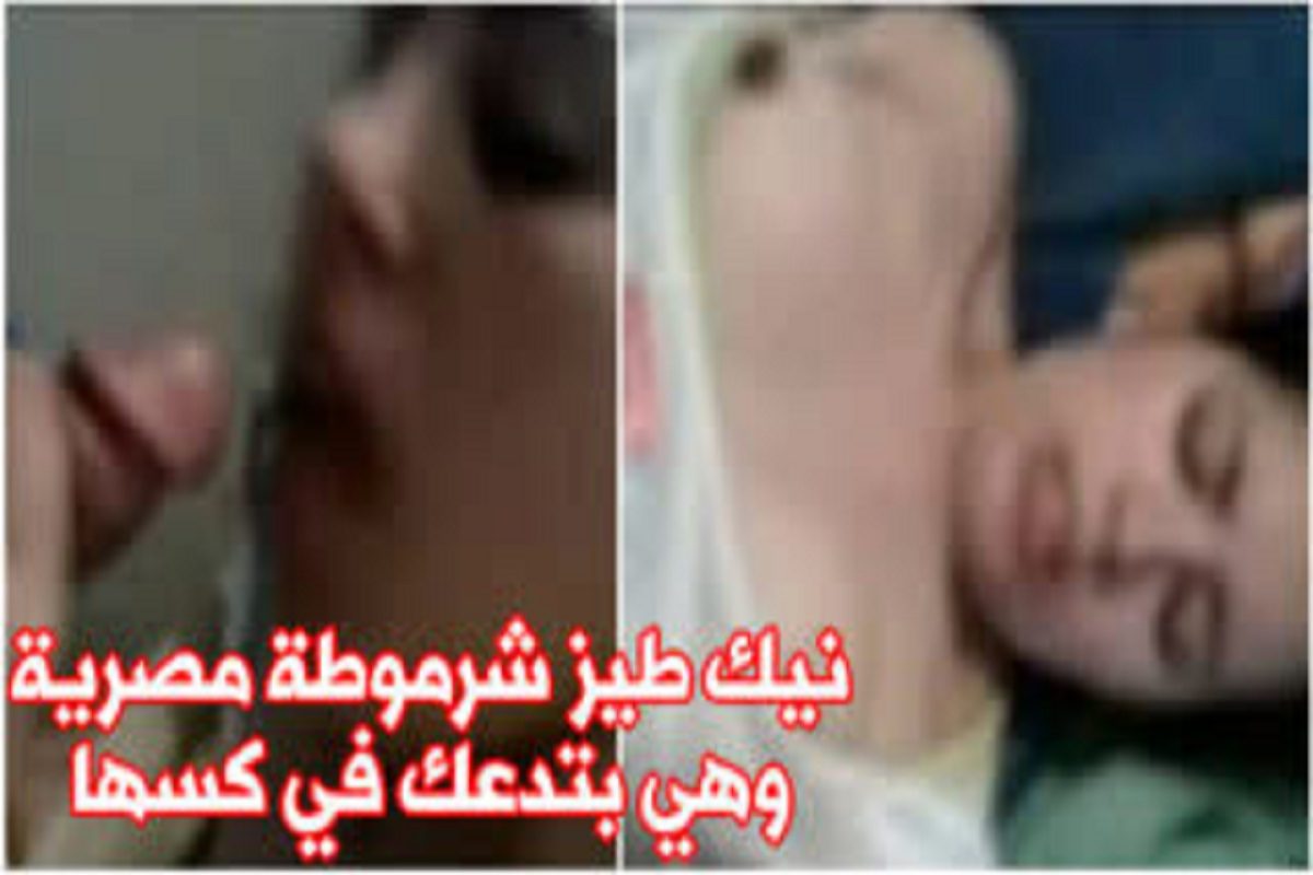 نيك طيز شرموطة مصرية وهي بتدعك في كسها سكس مصري